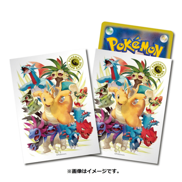 安心発送 新品 未使用 ポケモンカード デッキシールド タイプファイターズ ドラゴン ポケモンカードゲーム Lavacanegra Com Mx Lavacanegra Com Mx