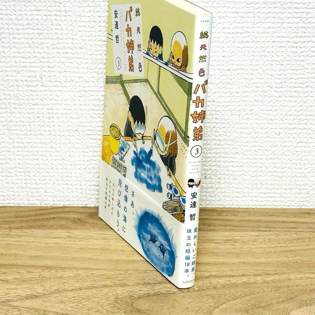 初版☆帯付き］総天然色 バカ姉弟 3巻 安達哲 KCデラックス