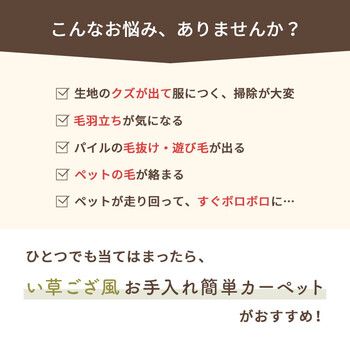 ラグ 洗える ござ 約174×174cm 江戸間2畳 日本製 国産 カーペット リバーシブル 丈夫 除菌スプレー対応