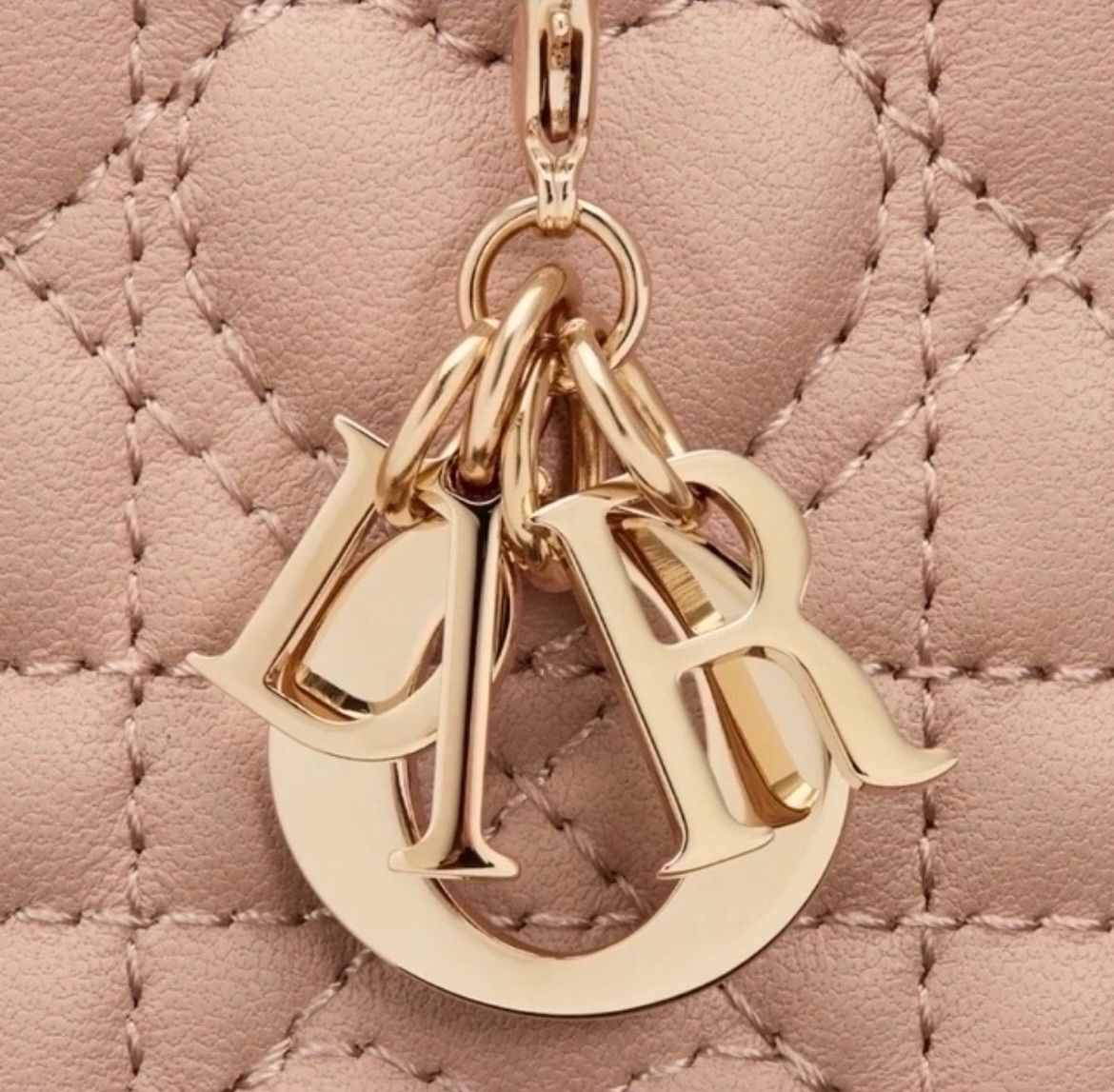 Christian Dior - DIOR レディディオール フォンホルダー ハート ピンク ディオール LADY DIOR フォンホルダー ハート ピンク - メルカリ