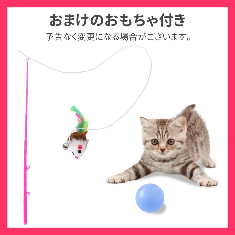 籠