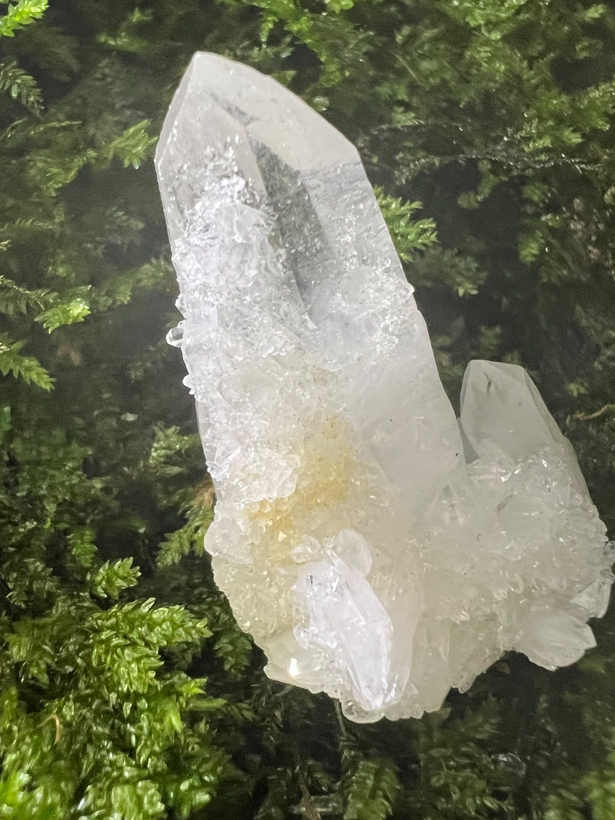 龍脈の精髄 ― 宮崎産 両剣水晶＋クラスター付き＋虹入り 調和と再生 奇跡を呼ぶ光 保護猫活動支援 IMPECCABLEHEALTHCARESERVICES_COM