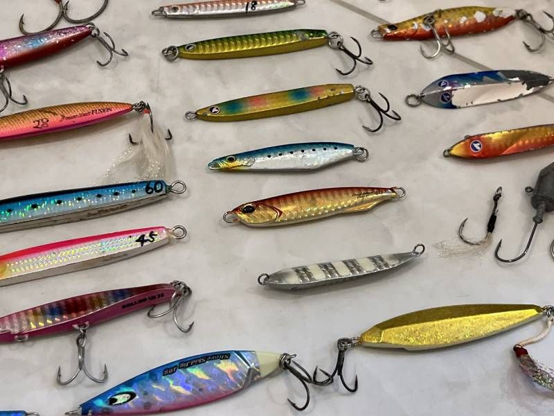 シーバス ソルトゲーム