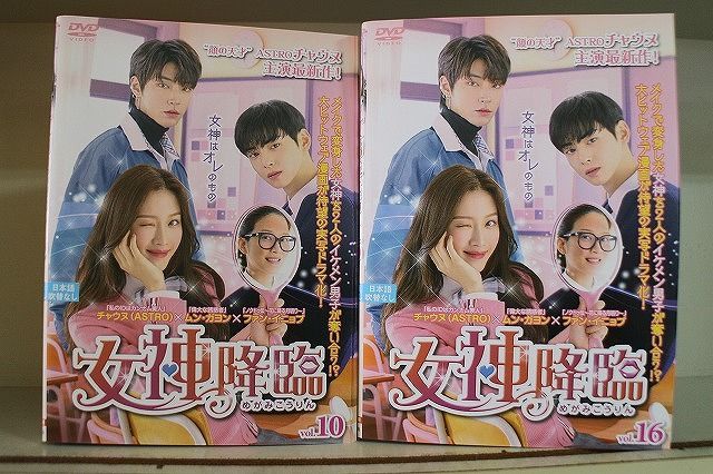 DVD 女神降臨 全16巻 チャ・ウヌ ムン・ガヨン ※ケース無し発送