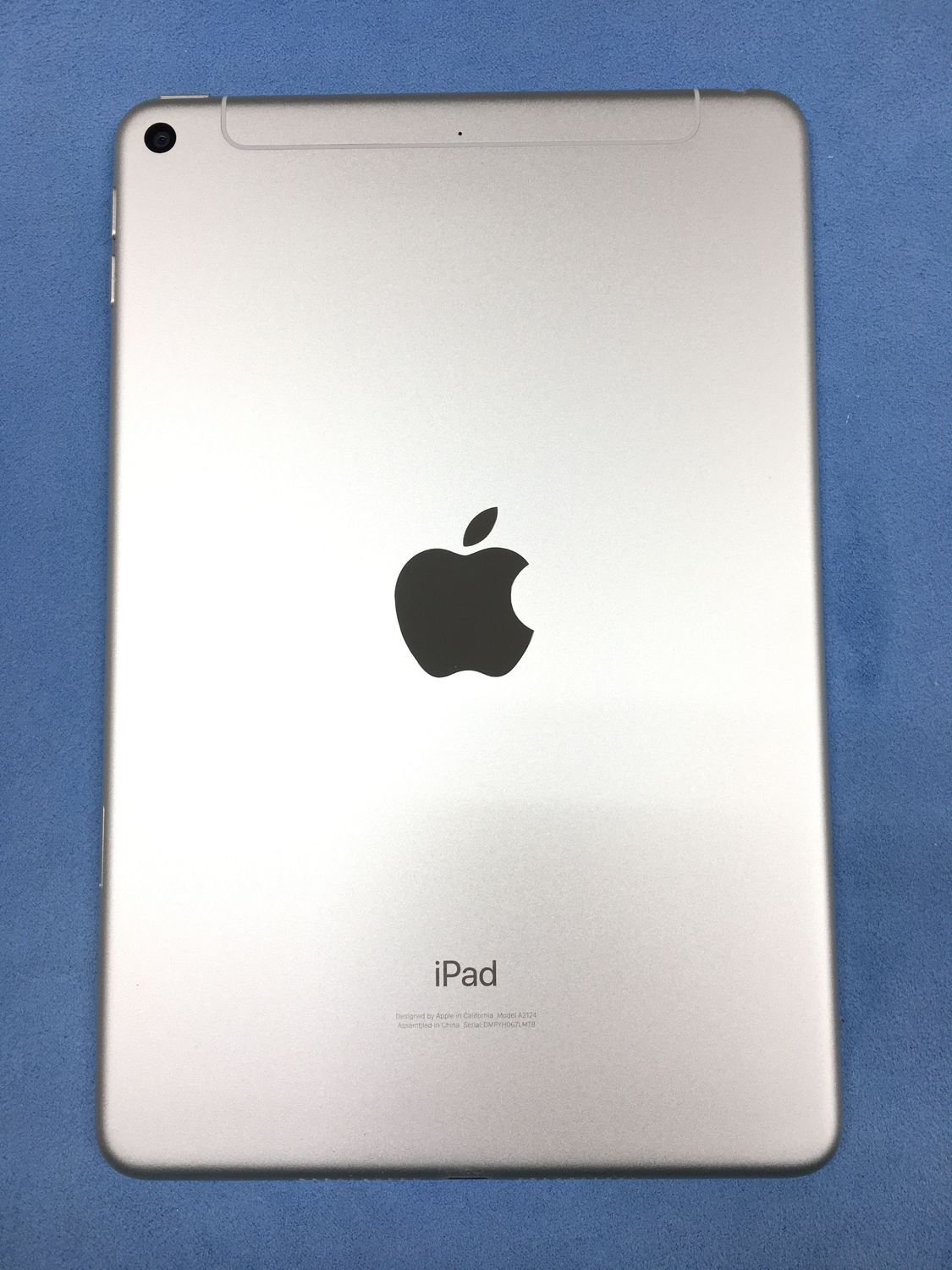 iPadmini5 ホームボタンあるラストのモデル iPadmini5 ホームボタンあるラストのモデル - メルカリ