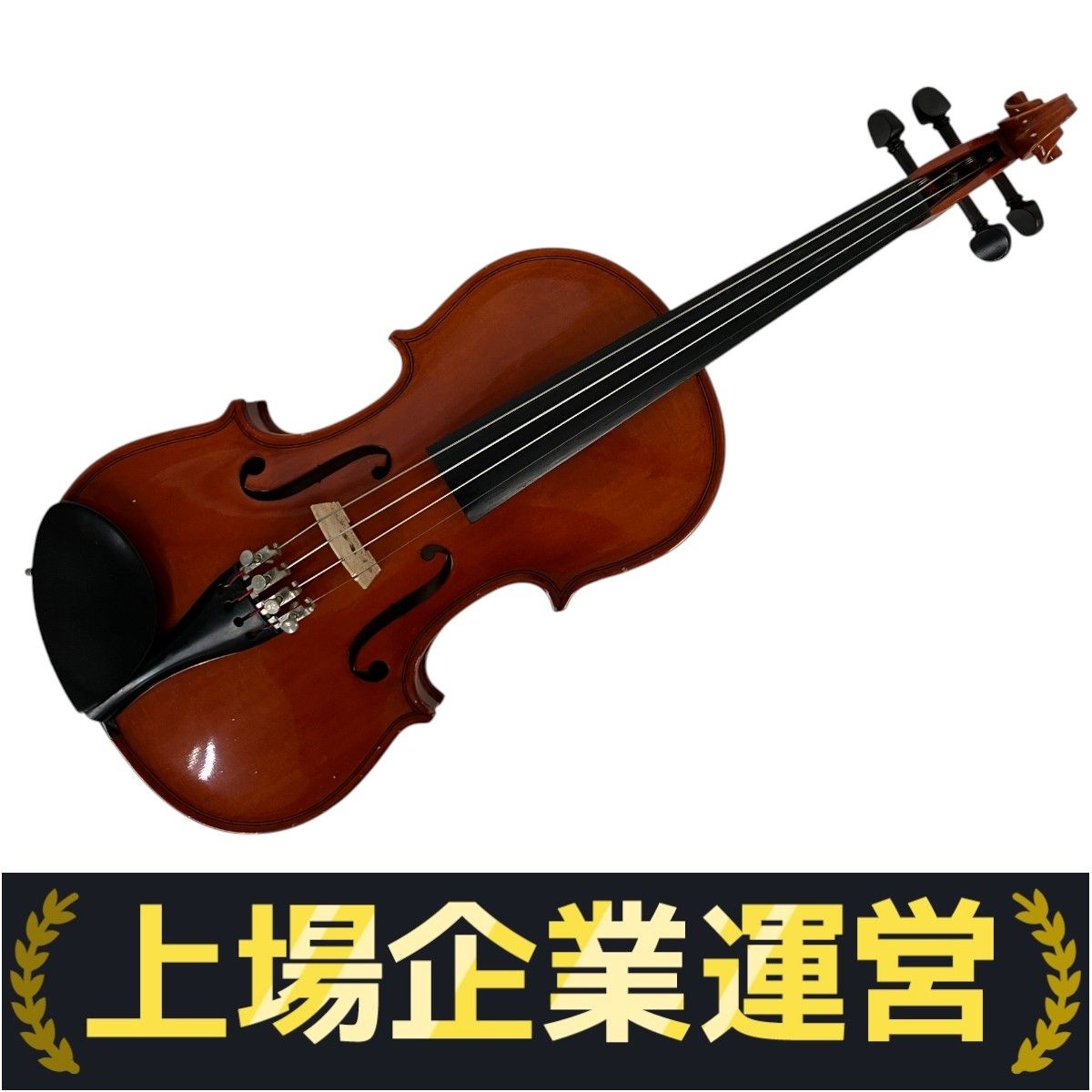 Amazon.co.jp: カルロジョルダーノ バイオリンセット VS-1 4/4