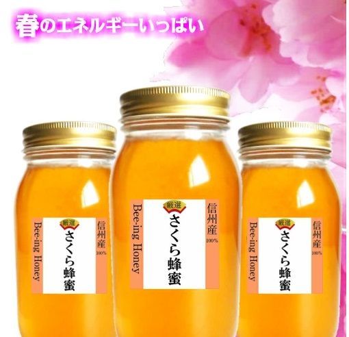 出荷は9月中旬です】出会えなかった本物の蜂蜜【2025年産新蜜