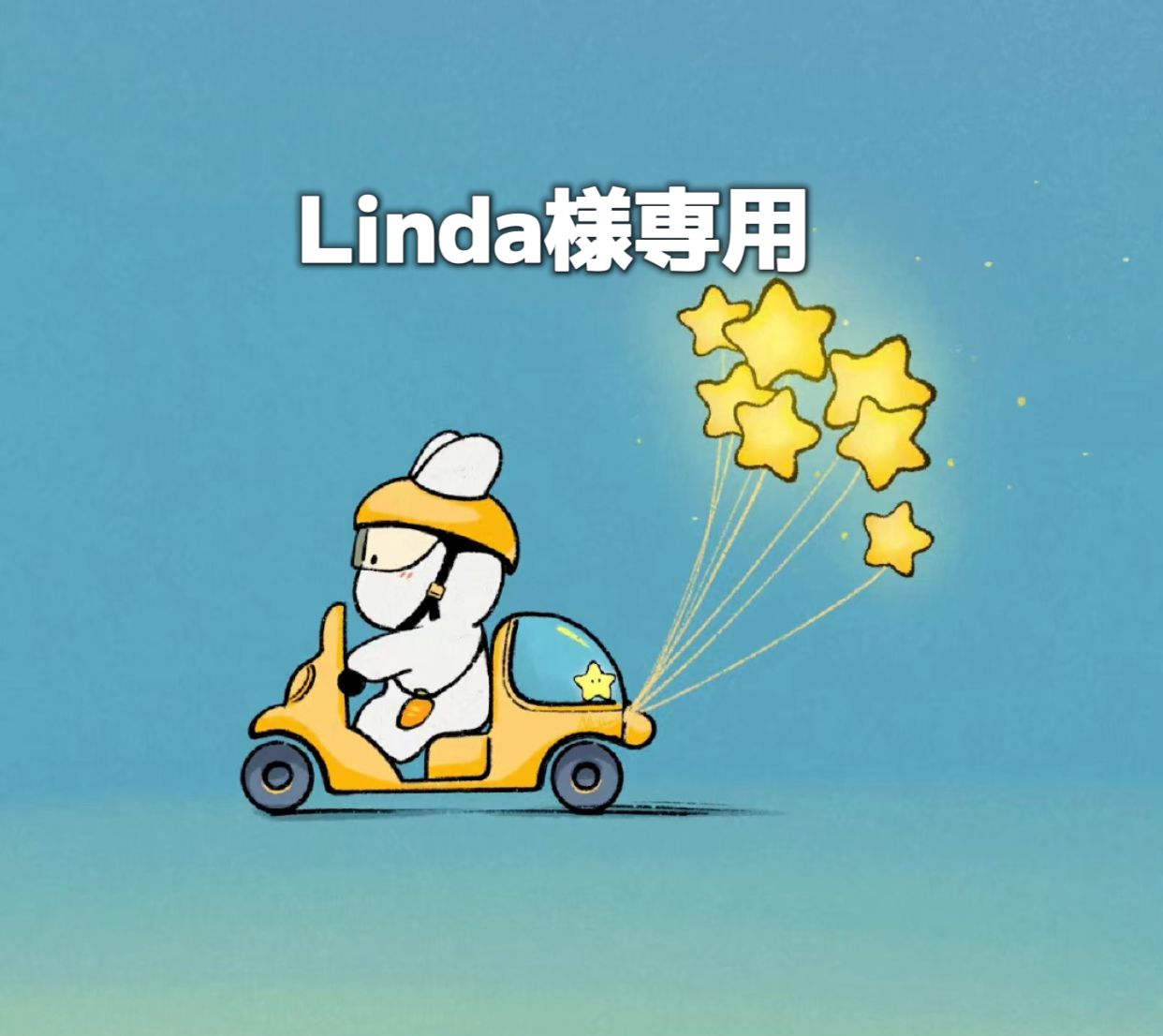 suzuki linda様専用 - 趣味