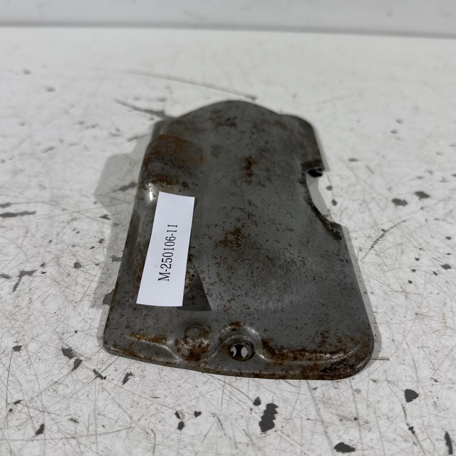 アガベ オテロイ実生 バンド幅確定】アガベ オテロイ 実生