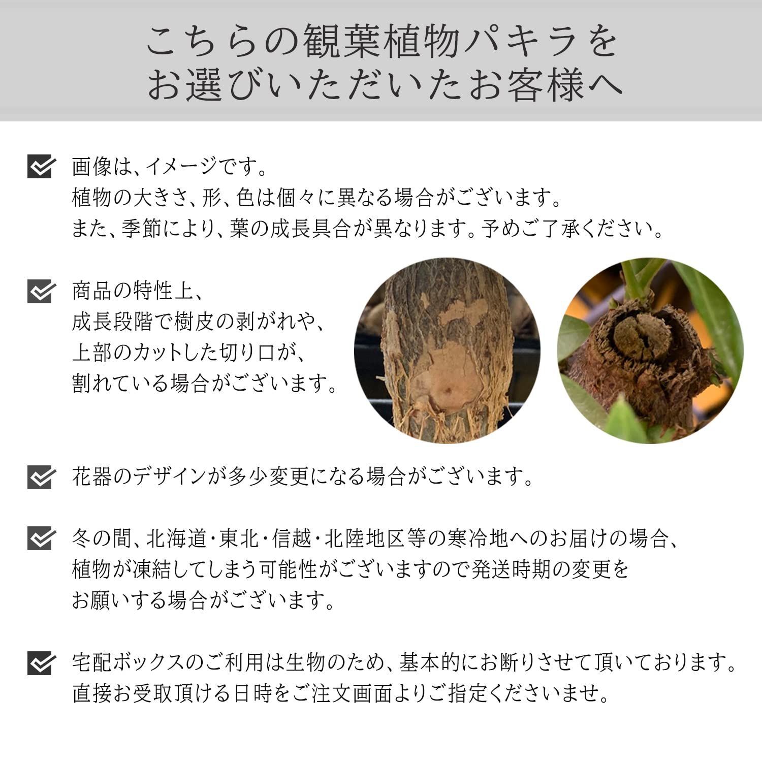 本物 おしゃれ