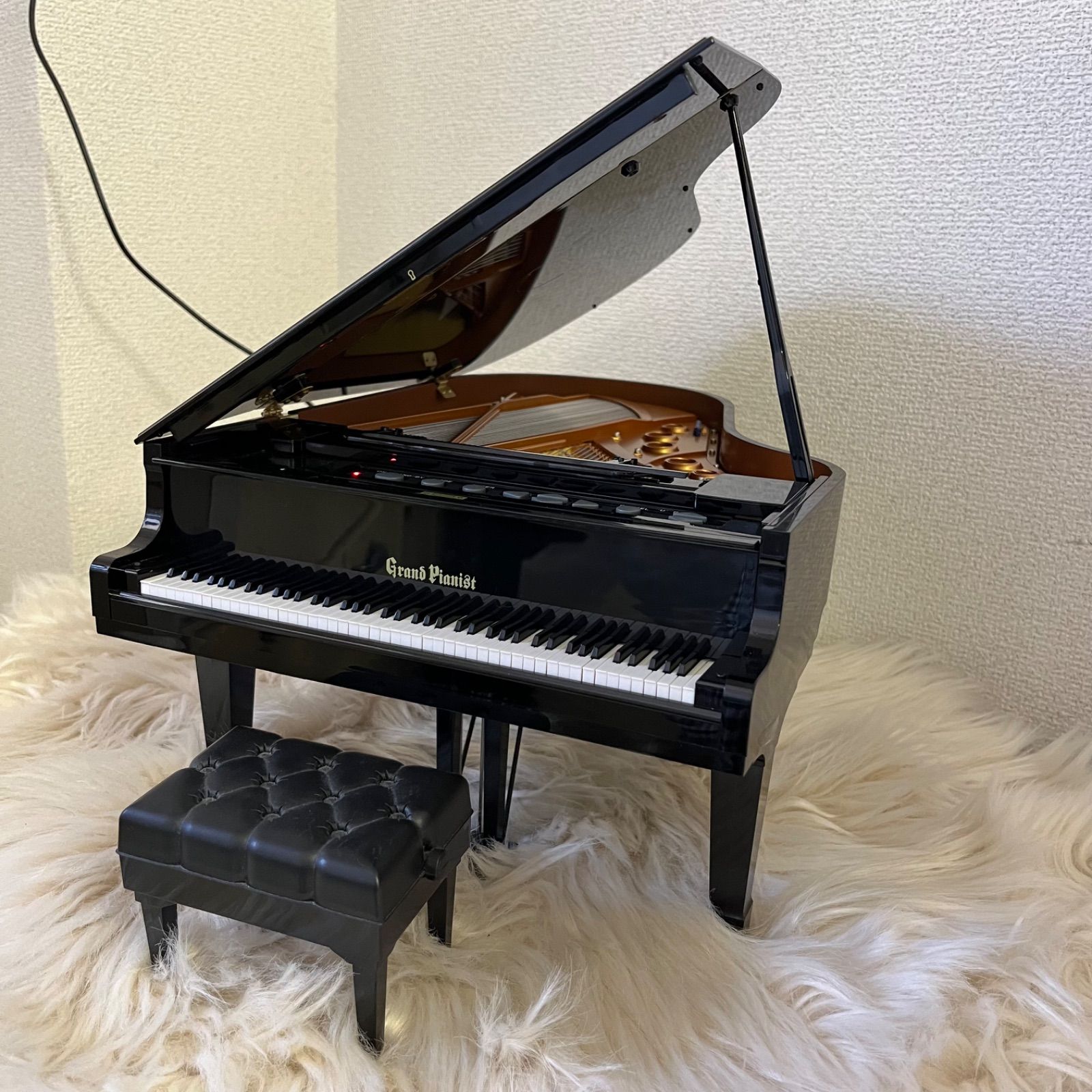 SEGA TOYS グランドピアニストプラス 芳ばしい Grand Pianist