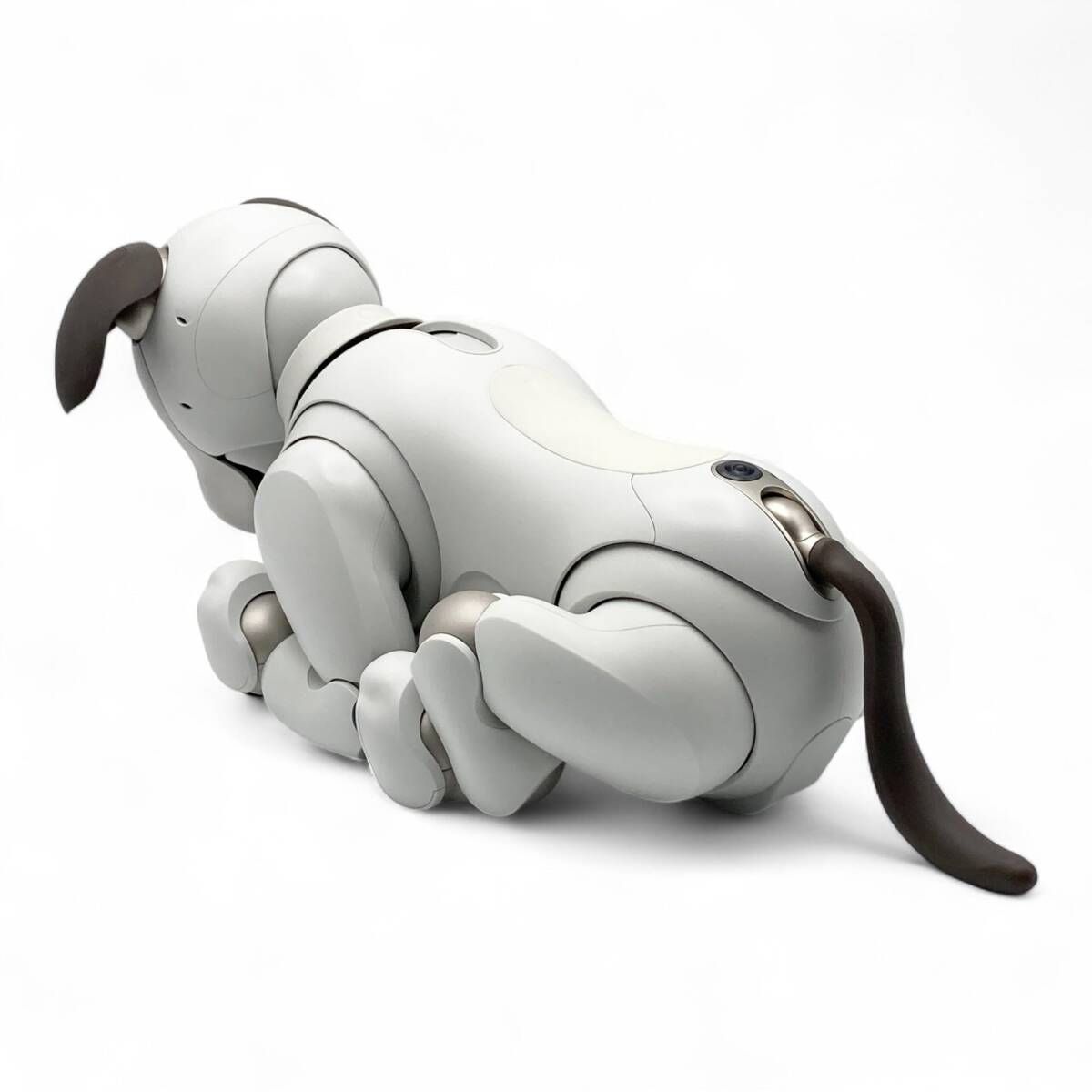 SONY aibo ERS-1000 動作確認済み ソニー アイボ ERS-1000 アイボーン AIBO 犬型 ロボット ペット