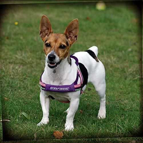  EZYDOG イージードッグ クイックハーネスXXS ブラック その他 首輪 ハーネス リード
