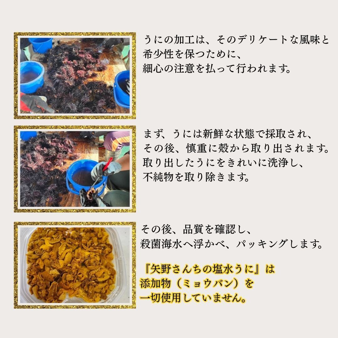 矢野さんちの塩水うに