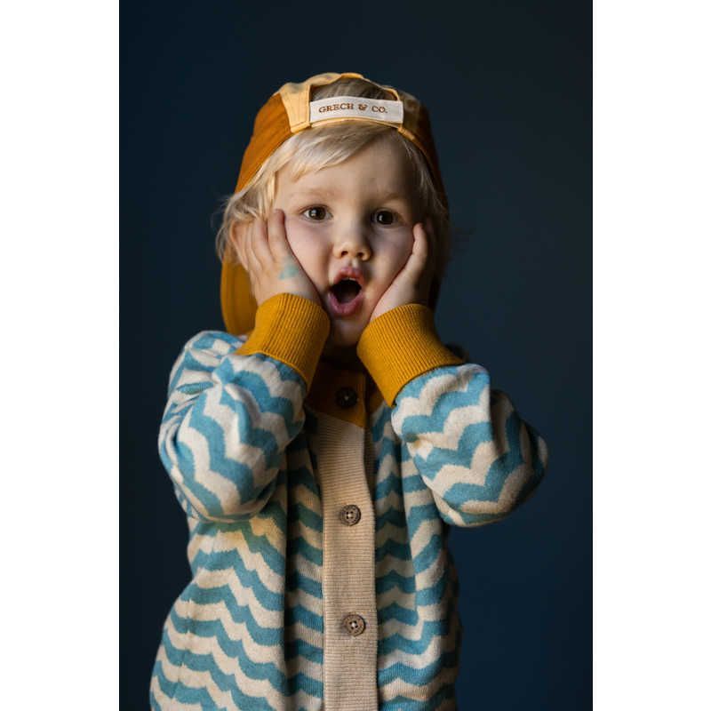  シグマ 交換レンズ Contemporary 56 mm F 1 4 DC DN その他 デジタルカメラ