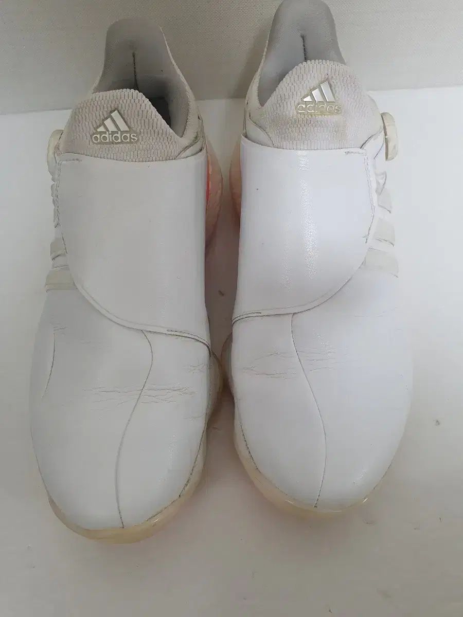 アディダスゴルフシューズ 23.5㎝ レディース アディダス ゴルフ