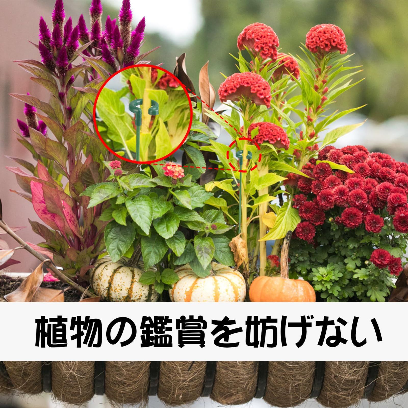 新着商品】花ささえ 花ガーデニング用 支柱 つる性植物 観葉植物 支柱 27CM ココスティック 植物成長 花支え 盆栽用 園芸支柱 農業用  20本組セット 園芸用ツール - メルカリ