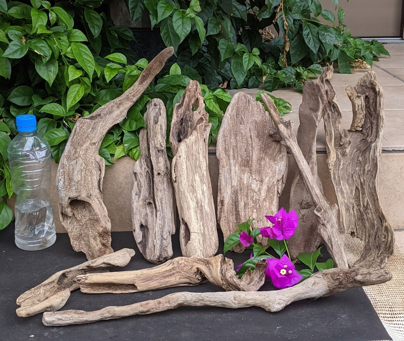 流木 天然 縁起物 天然 自然流木 1kg H23×W24×D21(cm)極上流木 上質