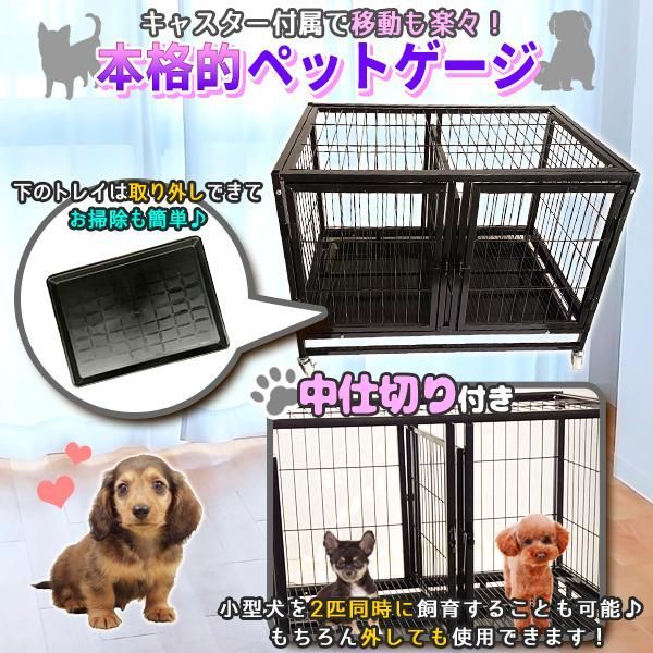 ペット 販売済み 飼育用ゲージ