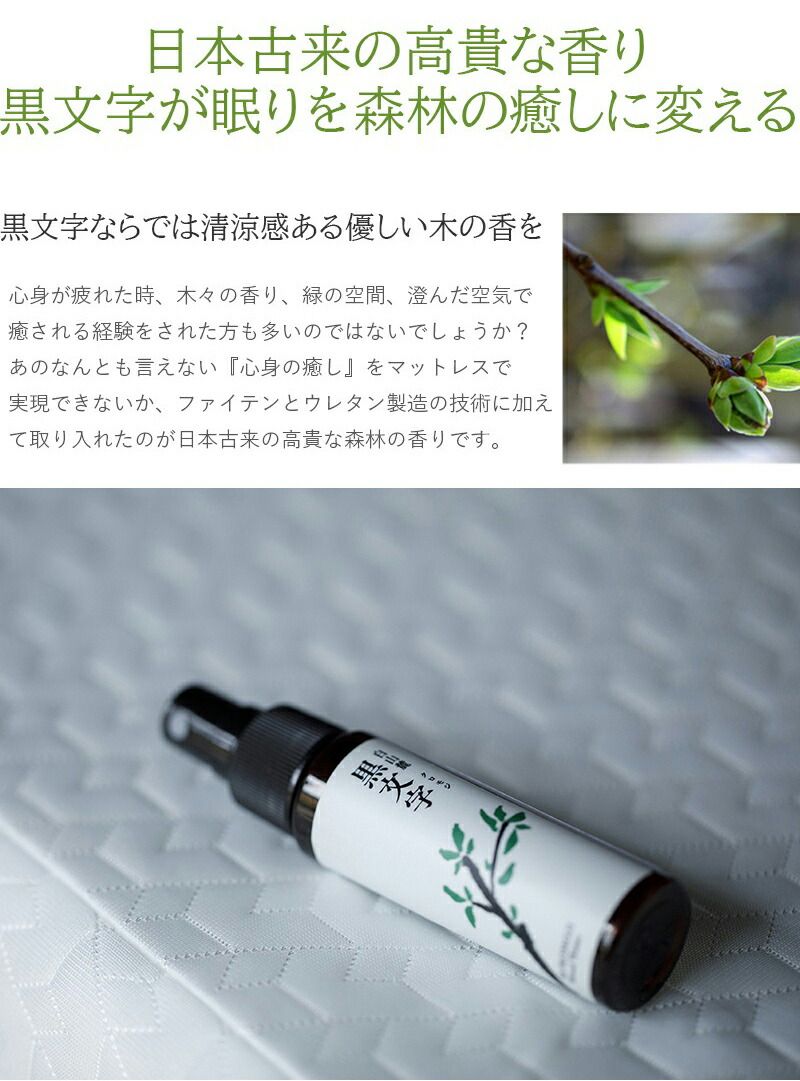 フォレスト FORESTs