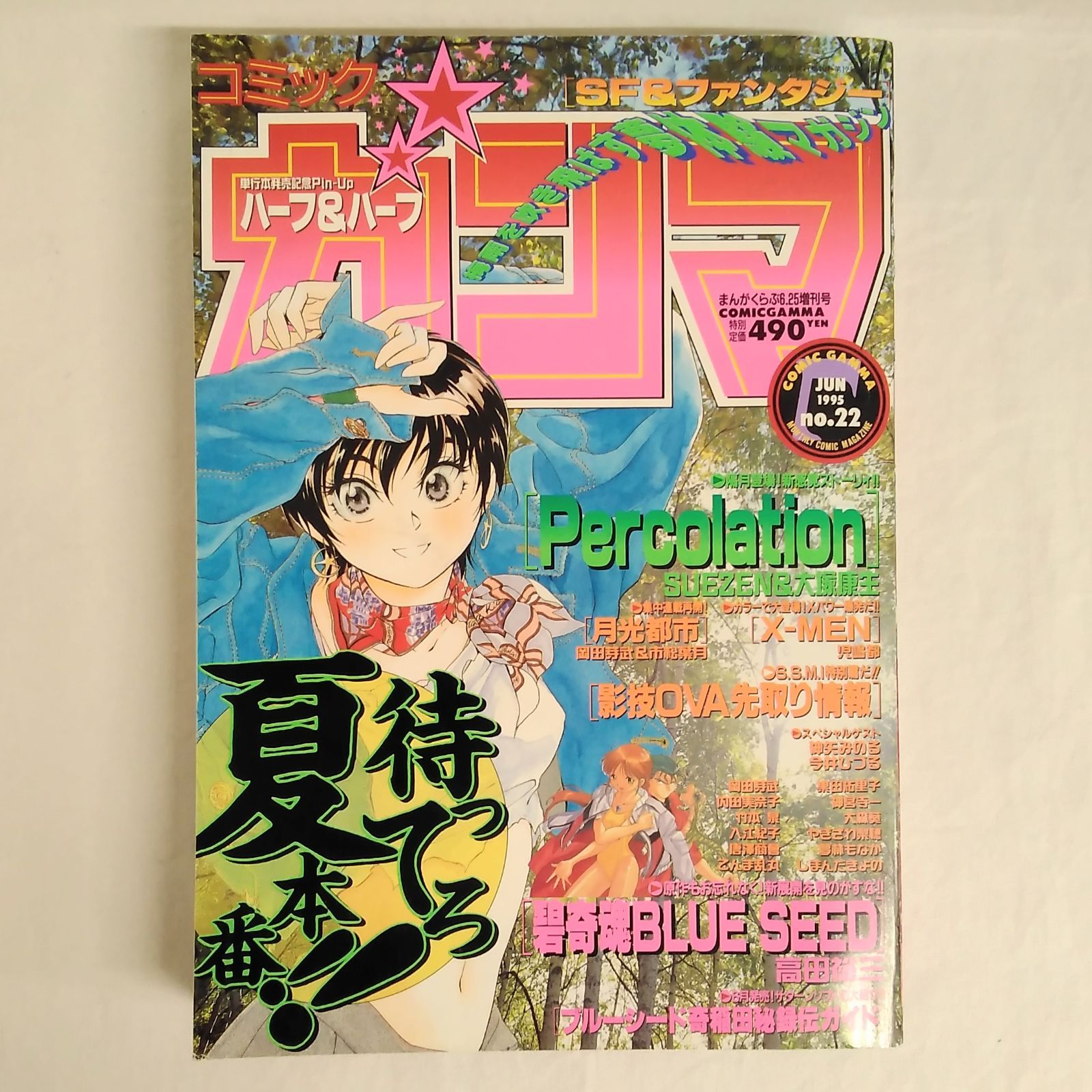竹書房 コミックガンマ no.22 1995年6月25日号 碧奇魂ブルー