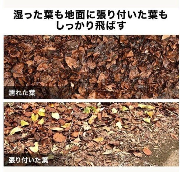 ハンドヘルドブロワー
