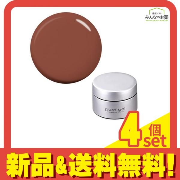 para gel(パラジェル) カラージェル S053 カネル 4g 4個セット まとめ売り
