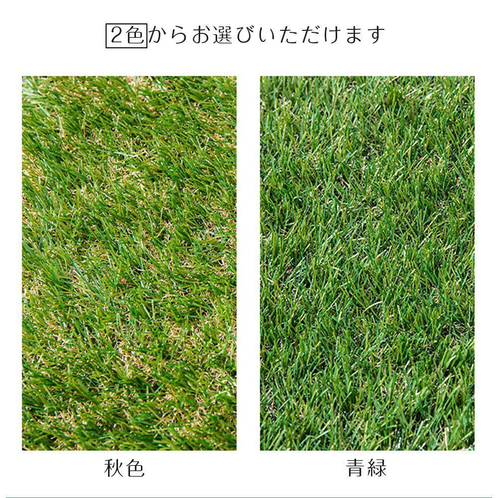 リアル