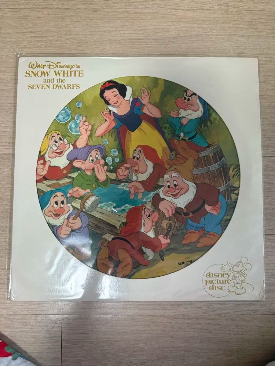 ヴィンテージ Disney ディズニー ピクチャーディスク LP