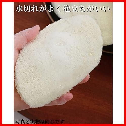 台所用スポンジ キッチンスポンジ 食器洗い 楕円形 天然へちま ヘチマスポンジ ヘチマたわし DATENG