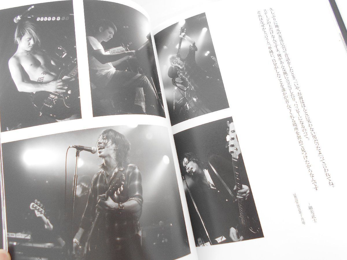 theHIATUS 日本武道館限定 パンフレット 細美武士 the HIATUS HALF A DECADE CHRONICLES 2009-2014 パンフレット