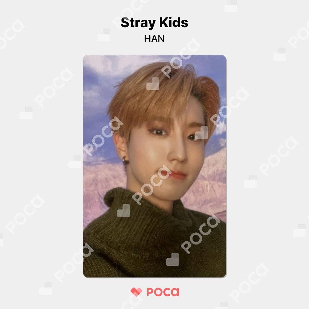 dfesta ディフェスタ Stray Kids ハン 入場トレカ DFESTA JAPAN FINAL 入場者特典 トレカ スキズ フィリックス