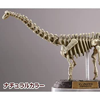 カプセルQミュージアム 恐竜発掘記6 恐竜全身骨格 展示室 - が 【中古