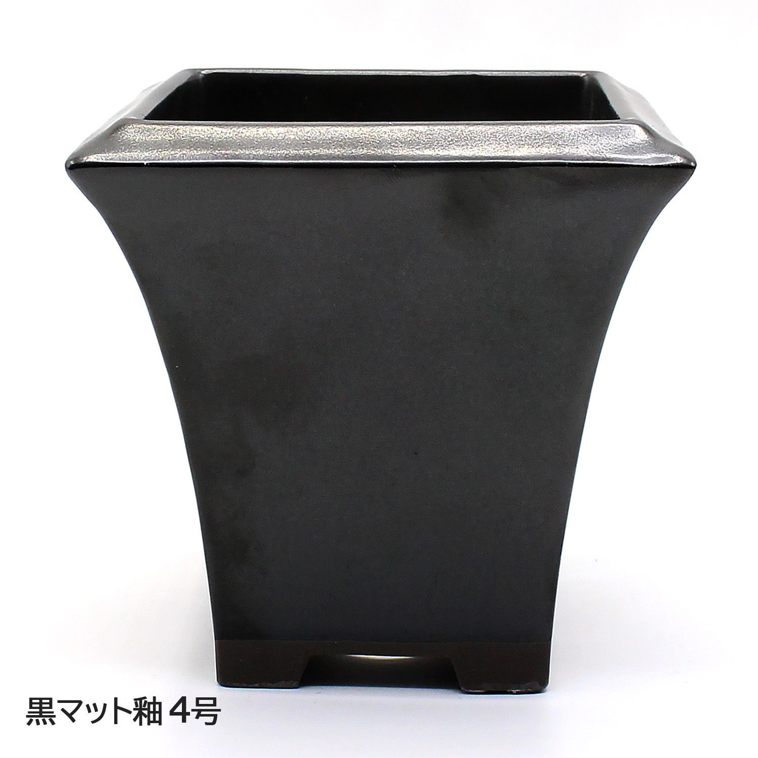 蛇の目松　盆栽　斑入り　4号陶器鉢つき　極上❗ 蛇の目松 斑入り 4号陶器鉢つき 極上❗ - メルカリ