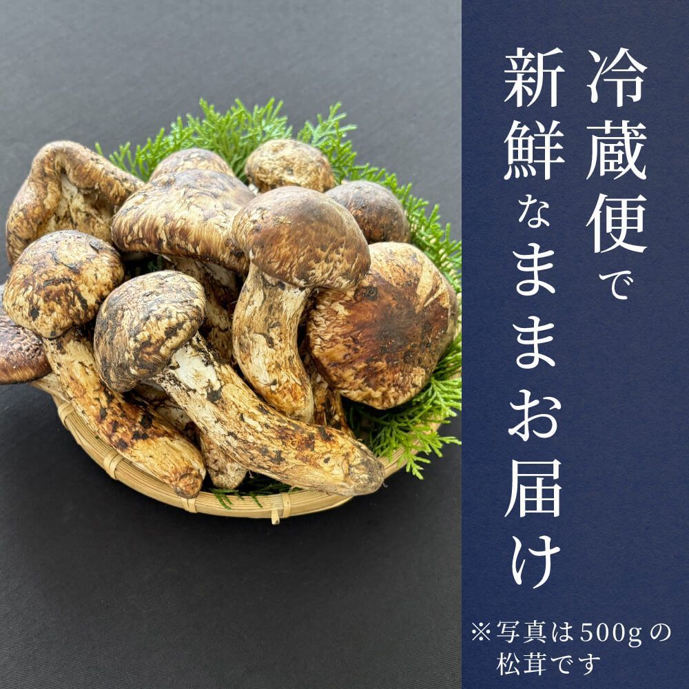 北海道　松茸　500g ① 生松茸 開き 半開き ミックス 生鮮松茸 500g ホール フレッシュ