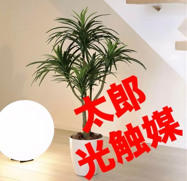 光触媒 人工観葉植物 ウォールグリーン フェイクグリーン モンステラ