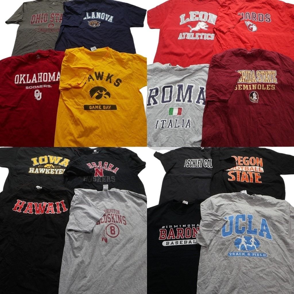 古着卸 カレッジ風 プリント 半袖Tシャツ 16枚セット メンズ L |XL アイオワ ネブラスカ チームロゴ 古着 NA1956