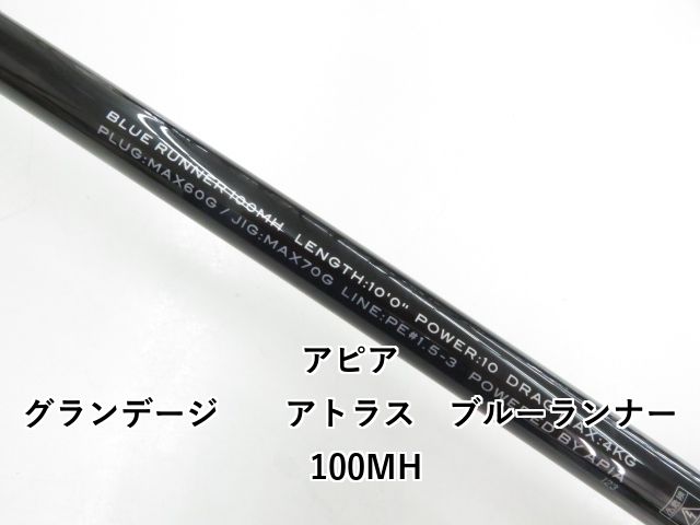 ブルーランナー