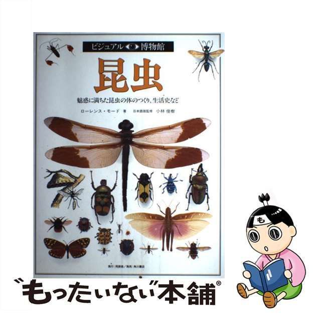 中古】 昆虫 魅惑に満ちた昆虫の体のつくり、生活史など にぎやかで