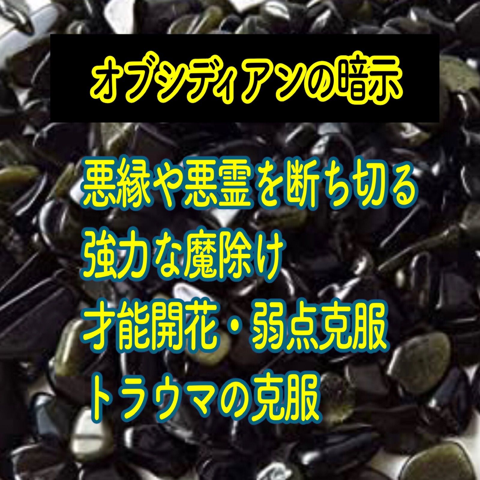 makiさまオーダー＊白蛇抜け殻入りお守り／浄化皿 makiさまオーダー＊白蛇抜け殻入りお守り／浄化皿 makiさま