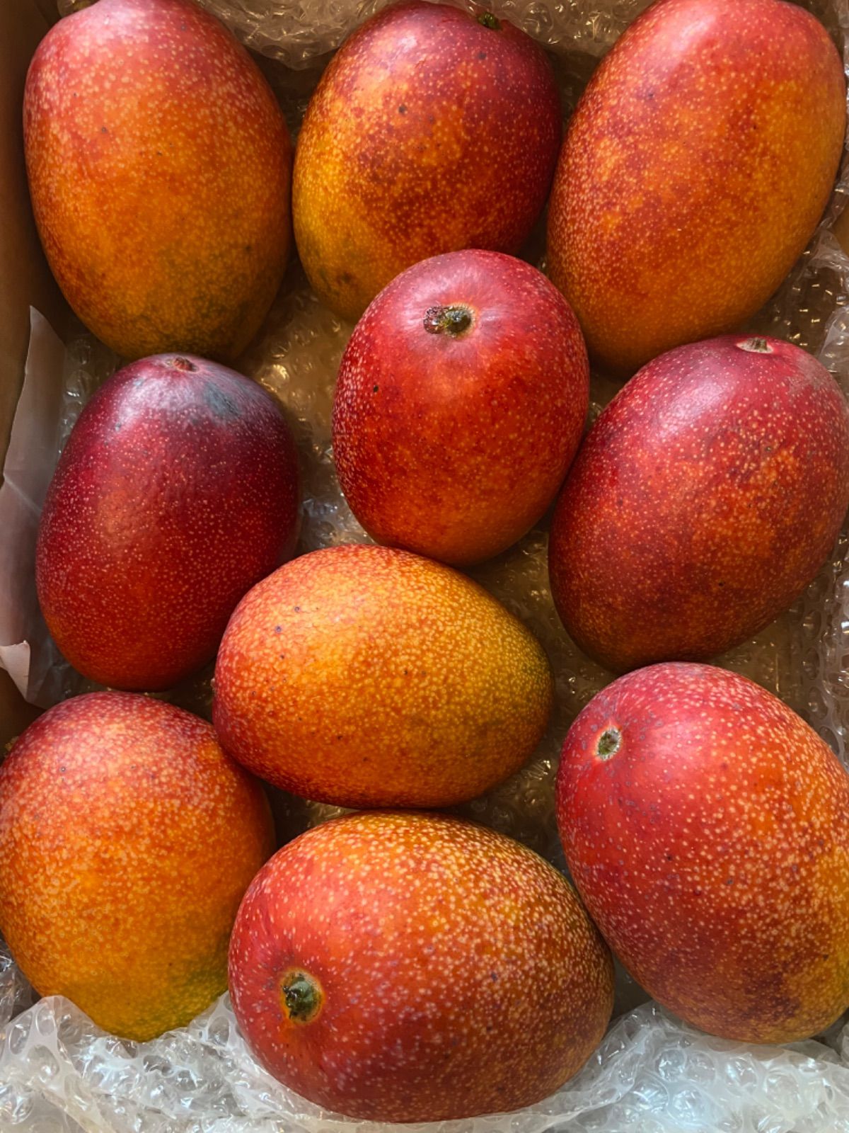 宮崎完熟マンゴー 大玉 家庭用 6玉セット 2.7 k