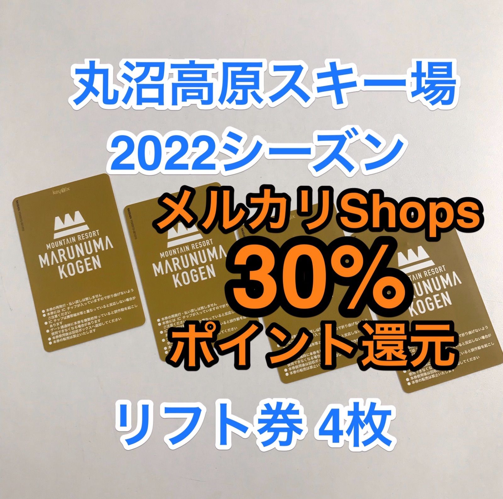 丸沼高原スキー場 リフト券1日券 2枚セット 【公式通販】