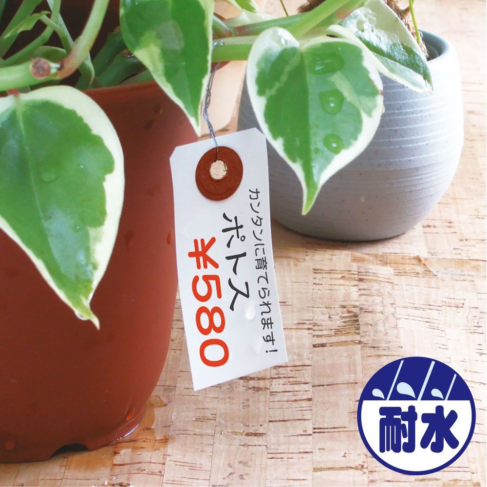 1点