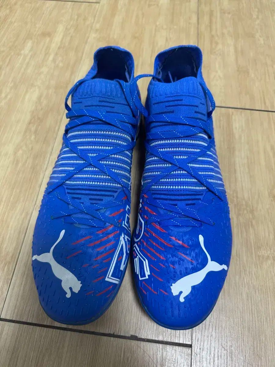 270 PUMA(プーマ) フューチャー Z 1 2 PRO CAGE
