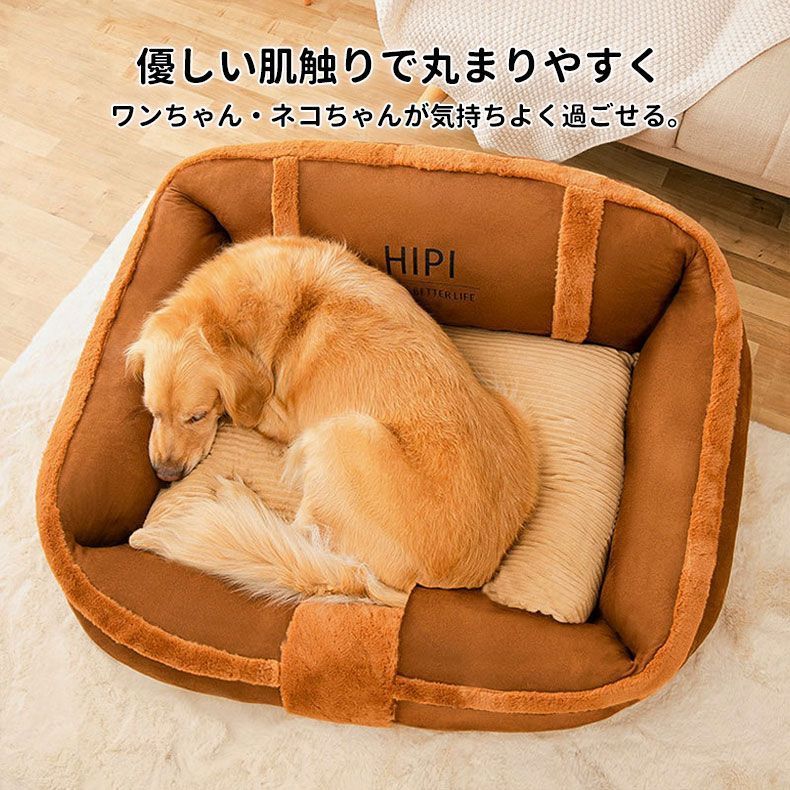 大型犬