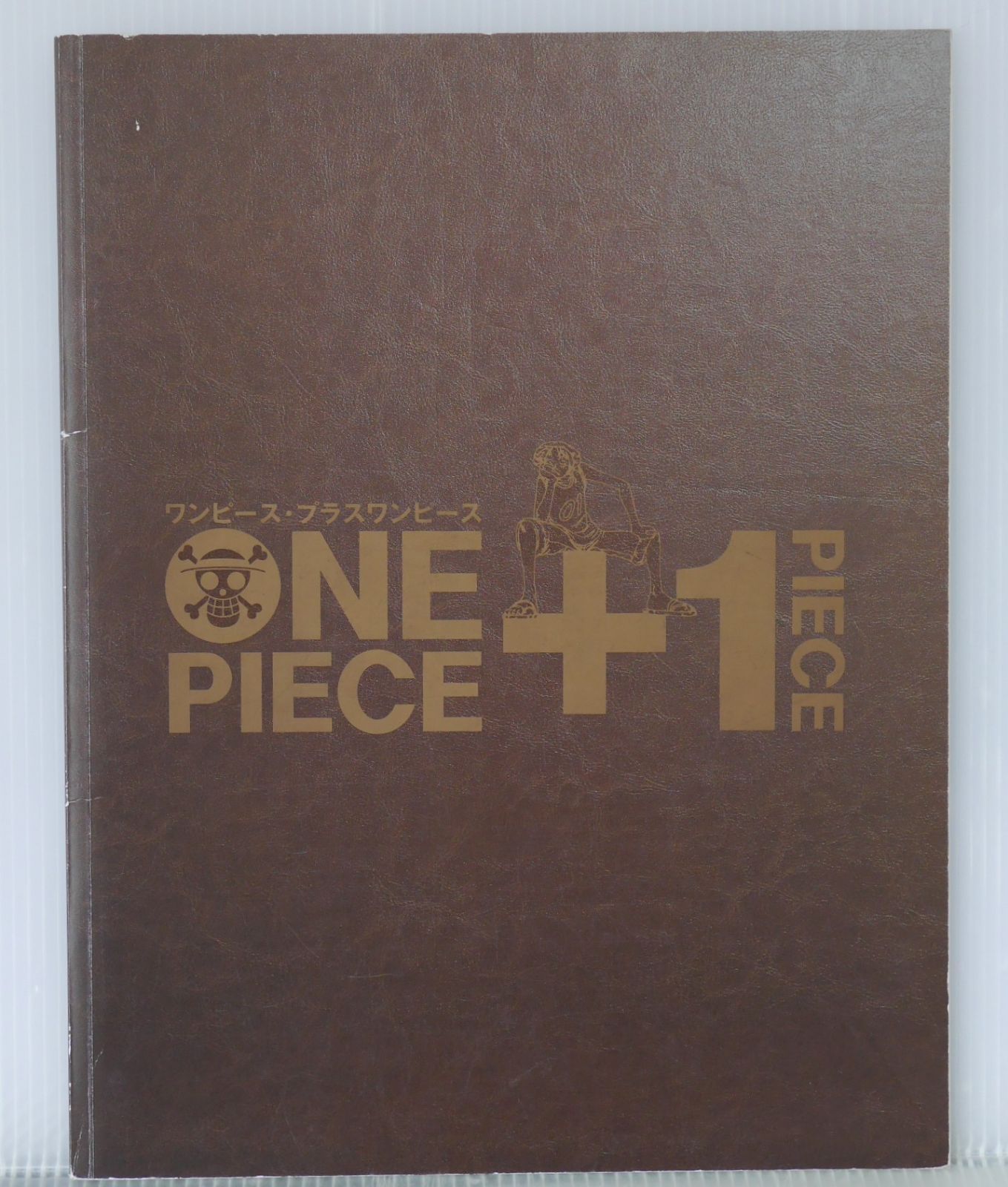 ワンピース　パンフレット VIVRE CARD～ONE PIECE図鑑～ BOOSTER PACK “未来島”エッグ