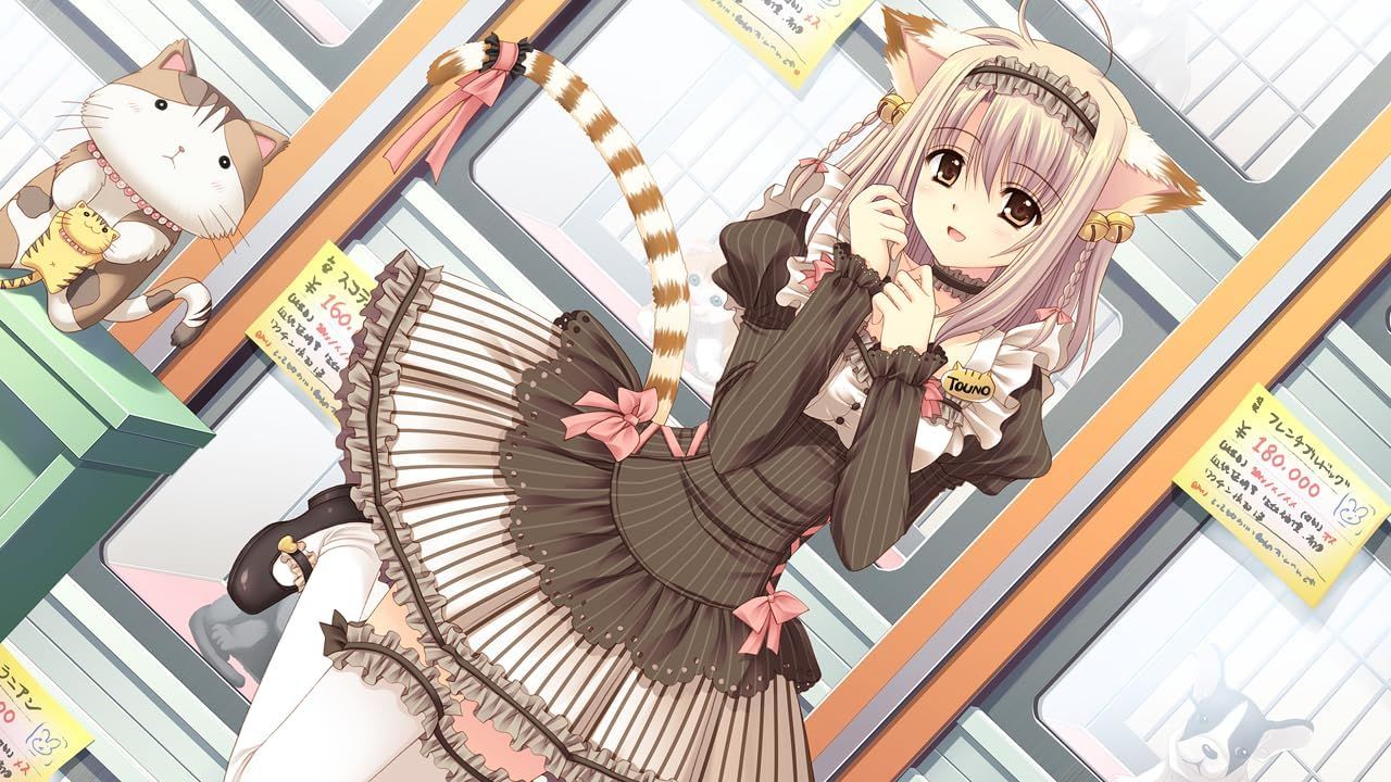 世界征服彼女