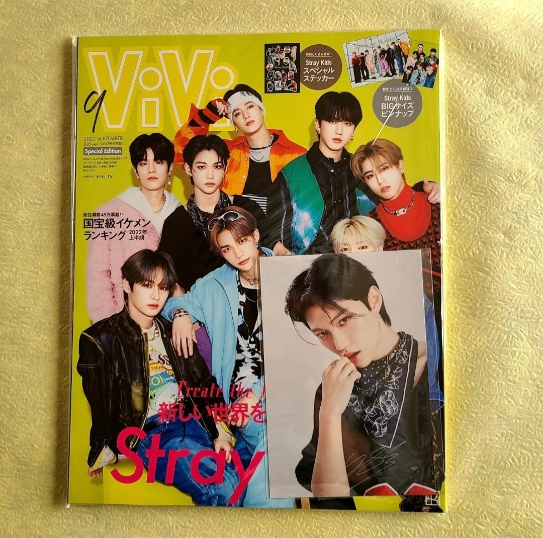 ViVi 2022年9月号 特別版 stray kids 雑誌 - ファッション