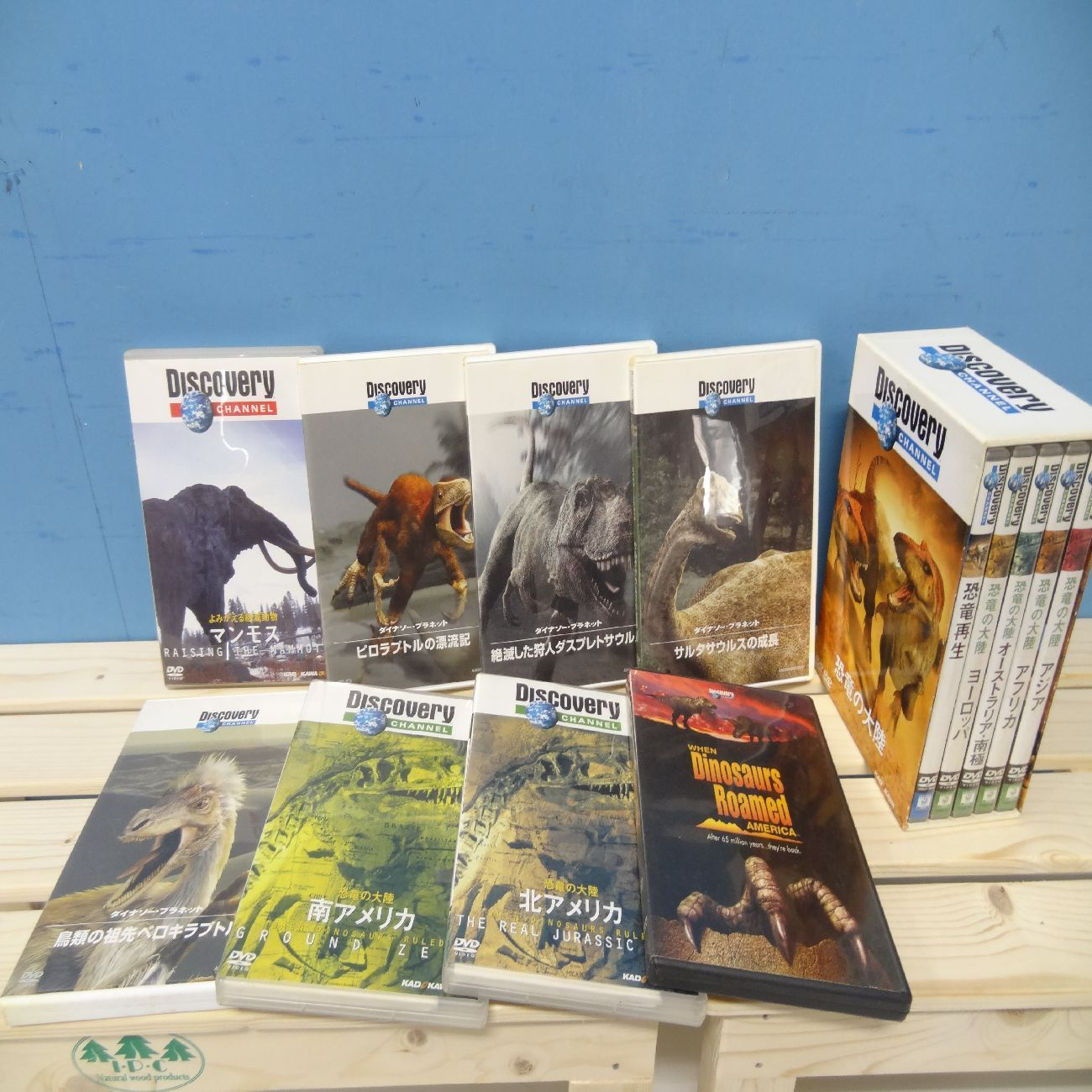Discovery Channel 恐竜の大陸 DVD 6枚組 Discovery CHANNEL 恐竜の