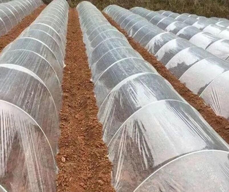 透明プラスチックフィルム屋根用ビニールハウス替えシート天幕PEカバー 厚さ0.12mmの耐久性ラスチックフィルム植物栽培幅5m×長さ12m